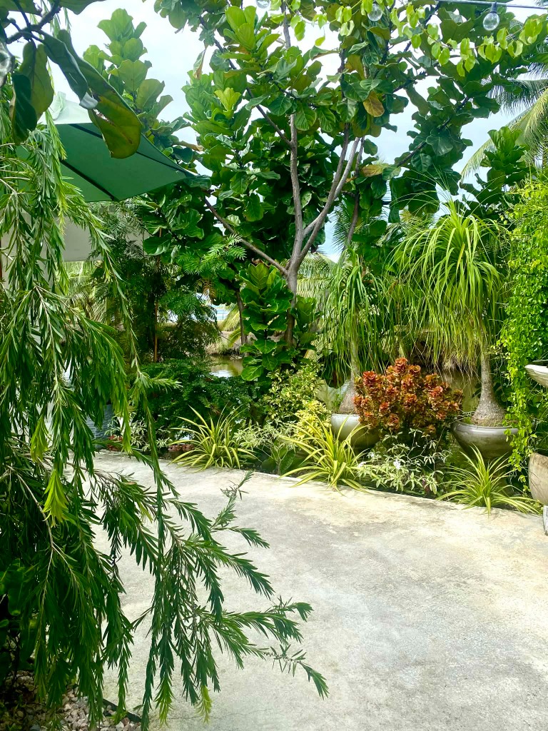 เต็นท์ - บรรยากาศธรรมชาติ